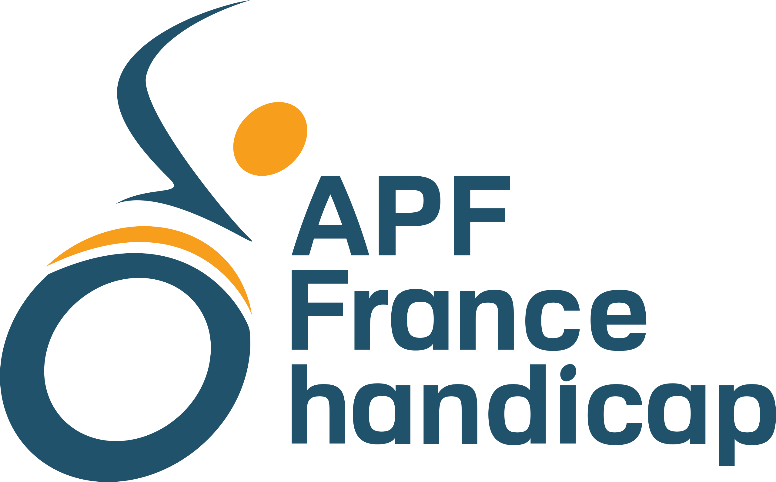 APF FRANCE HANDICAP