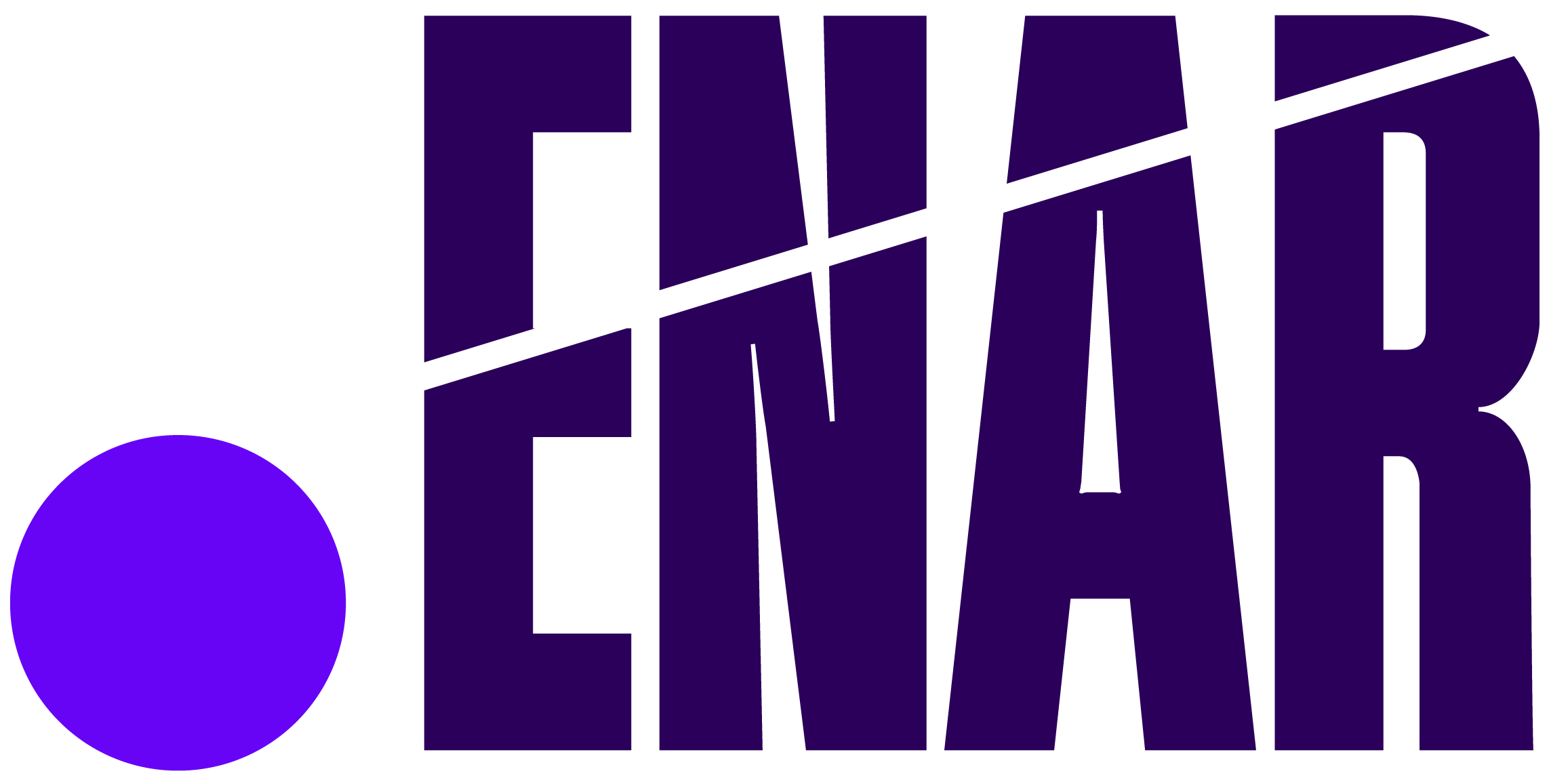 EUROPEAN NETWORK AGAINST RACISM